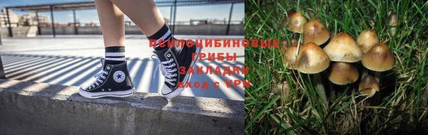 СК Богородск