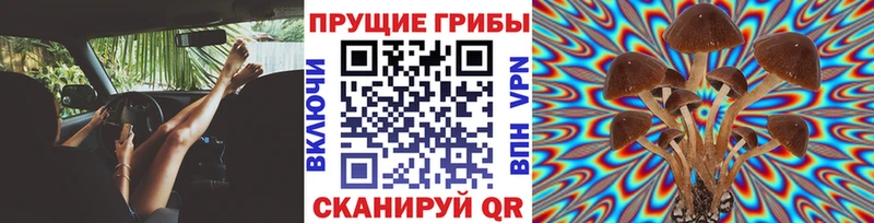 Псилоцибиновые грибы MAGIC MUSHROOMS  Гусь-Хрустальный 