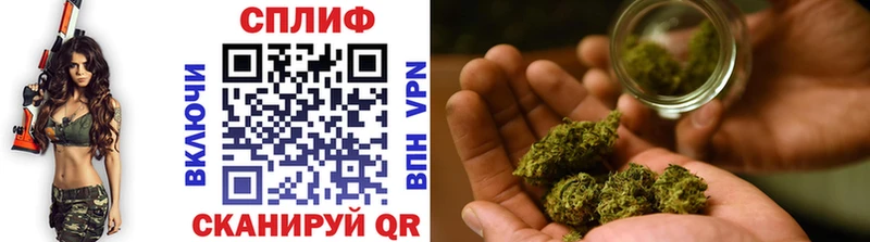 Каннабис ГИДРОПОН Гусь-Хрустальный